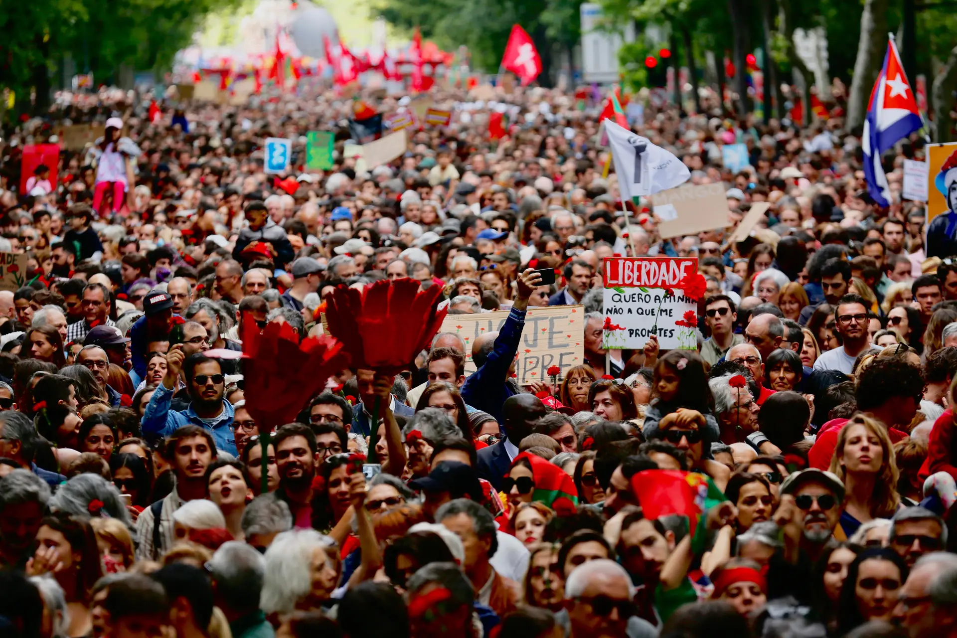 Quase 219 mil pessoas celebraram os 50 anos do 25 de Abril nas ruas de