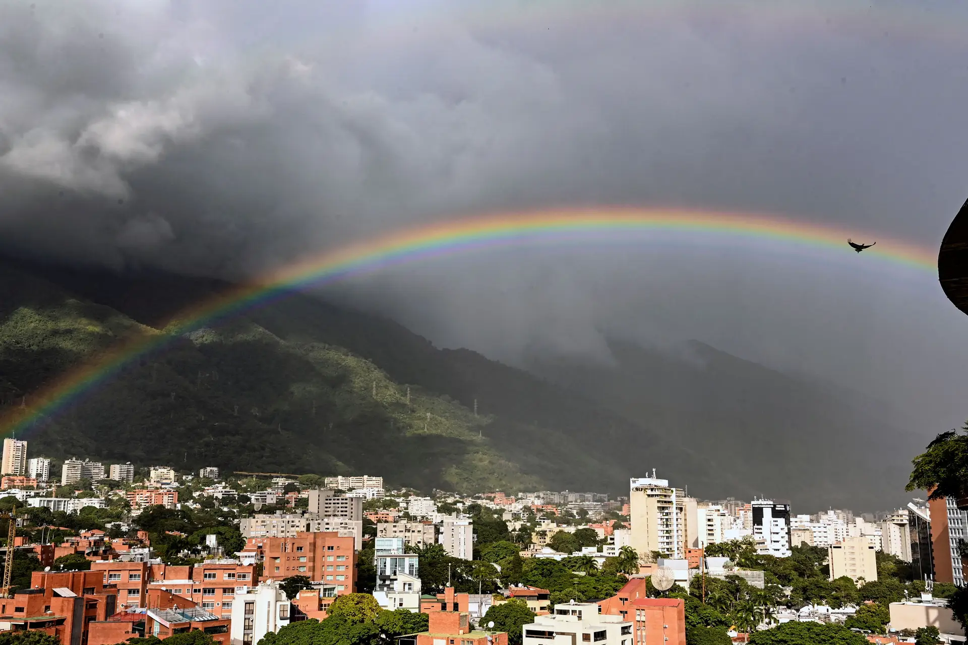 'Llamó la atención del mundo entero': municipio venezolano conmemorará cada año la Revolución de los Claveles
