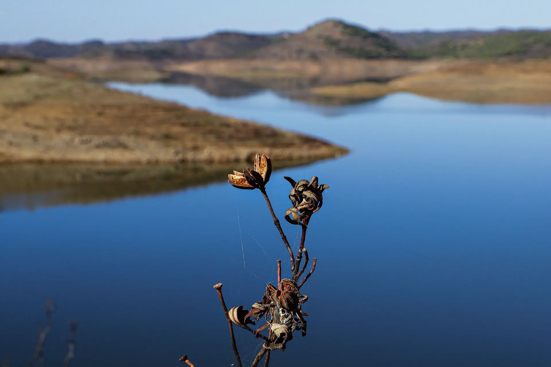Albufeiras no Algarve não vão além de 30% da sua capacidade em agosto de 2024