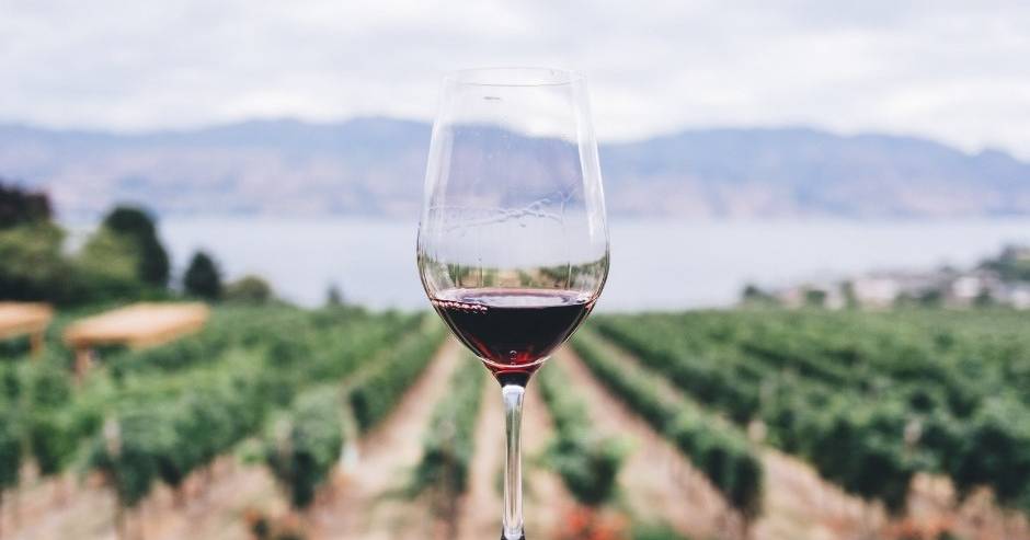 Com mais de 1300 referências a concurso, tinto de homenagem produzido em Estremoz foi eleito o melhor vinho do ano