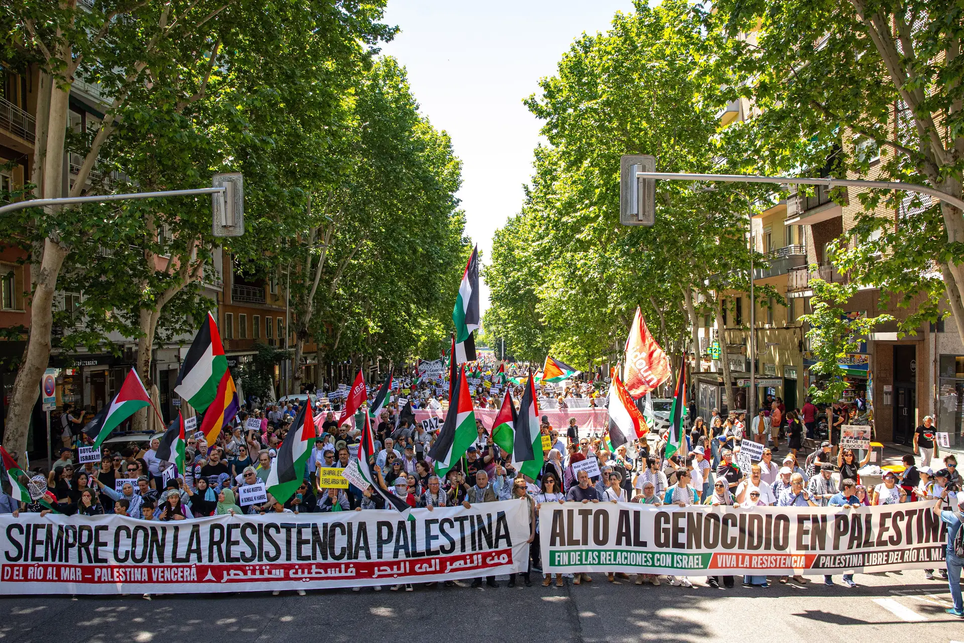 Cerca de 4000 pessoas desfilam em Madrid em apoio à Palestina e a favor de uma rutura com Israel