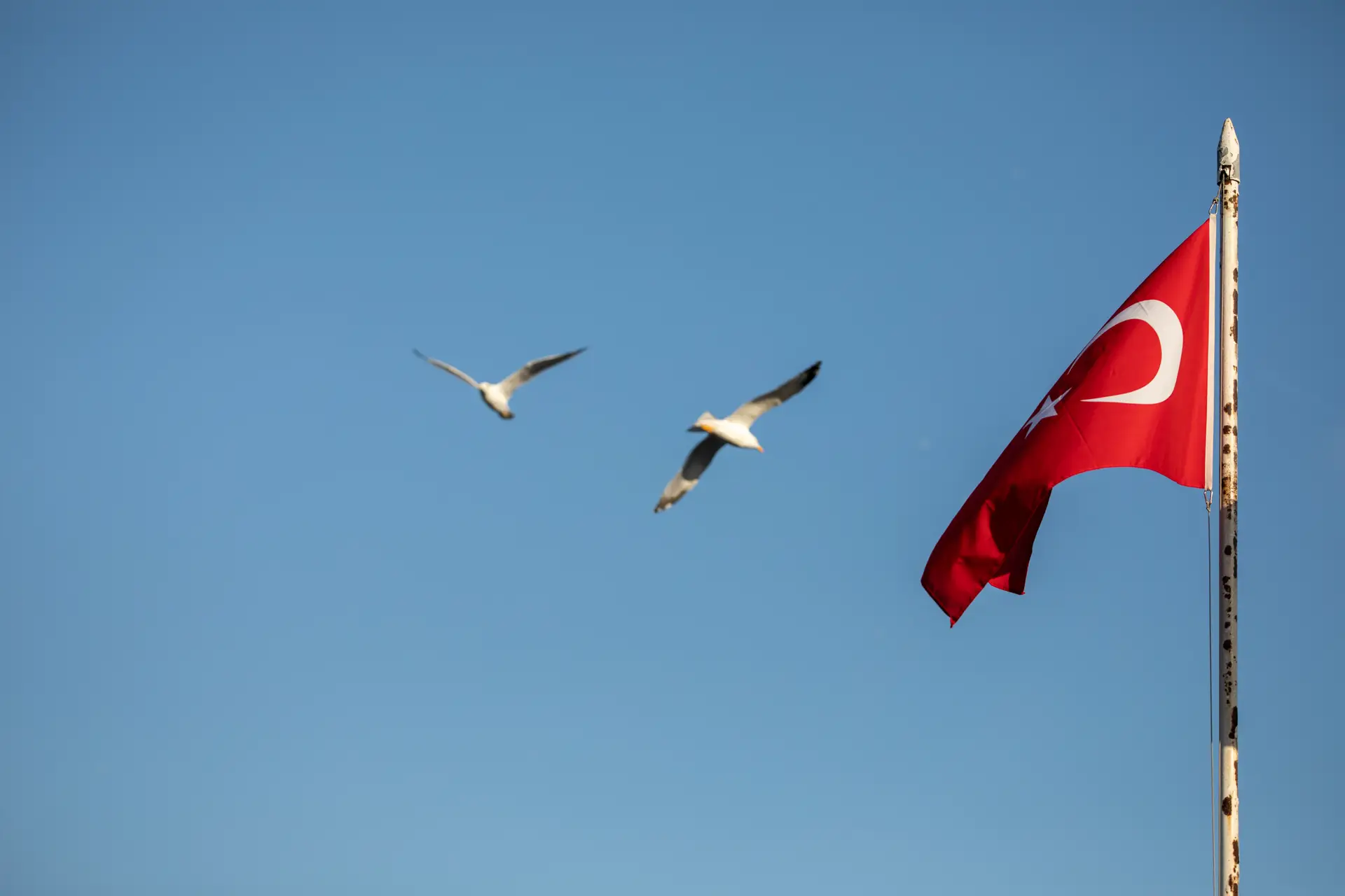 Turquia bloqueia zonas de Istambul para tentar impedir marcha do Orgulho LGBT+