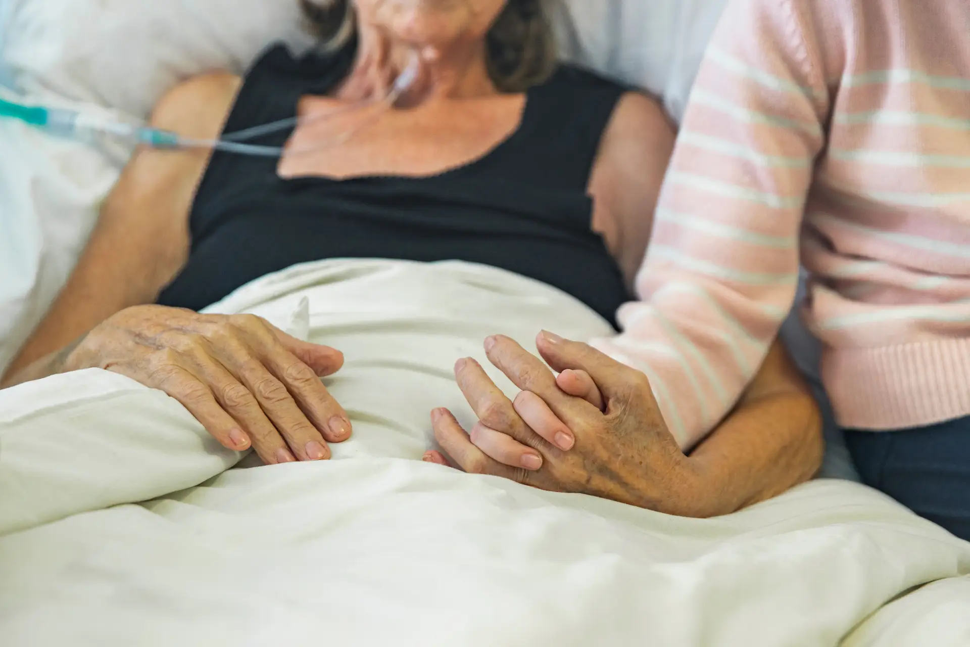 Especialistas em geriatria pedem mais programas específicos para idosos no SNS