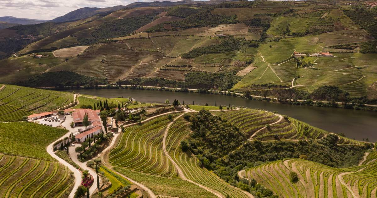Quinta no Douro conquista prémio de “Melhor Enoturismo de Portugal”