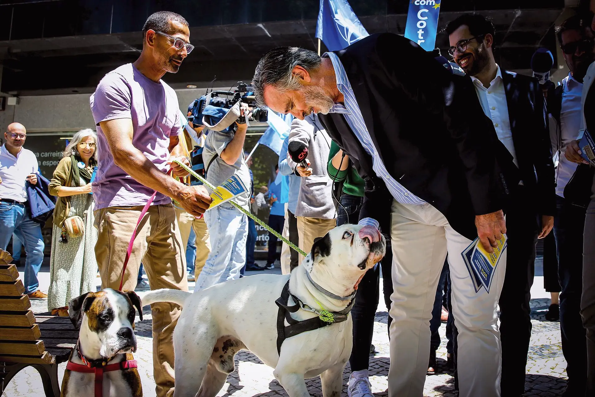 Numa arruada no Saldanha, Cotrim não deixou de fazer festas a cães