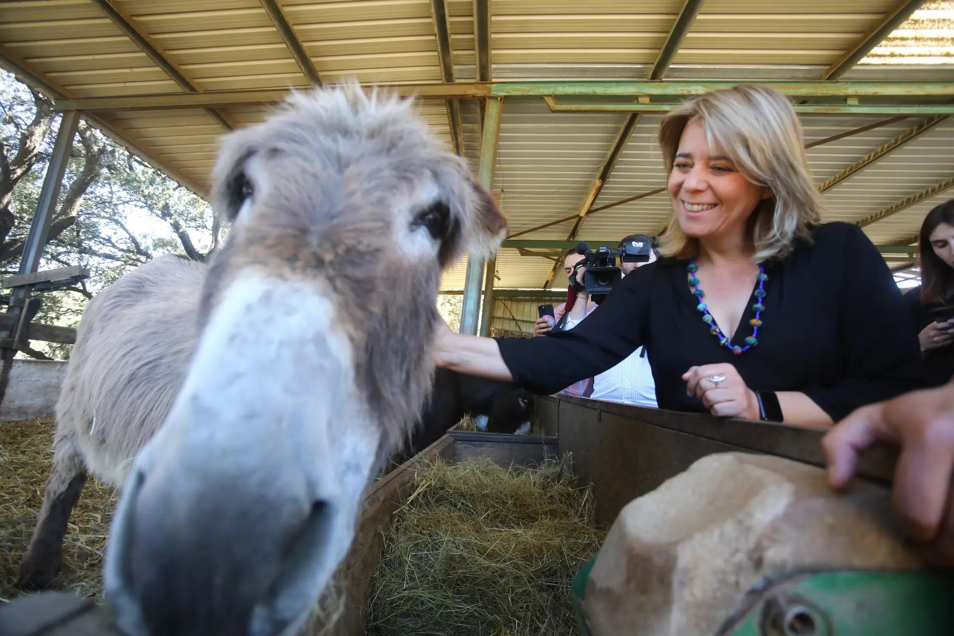 L Bloco quier ls denheiros de l'Ouropa a chegar als burros de Miranda: não é gralha, é mirandês