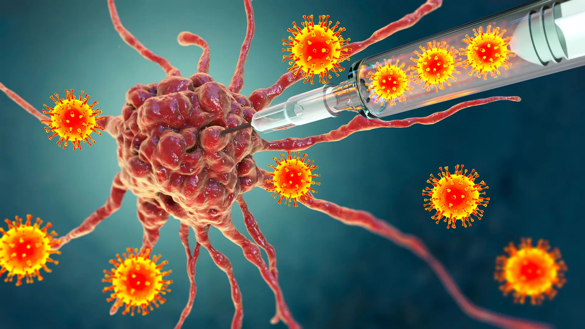 Eliminar o HPV? Portugal tem trabalho a fazer