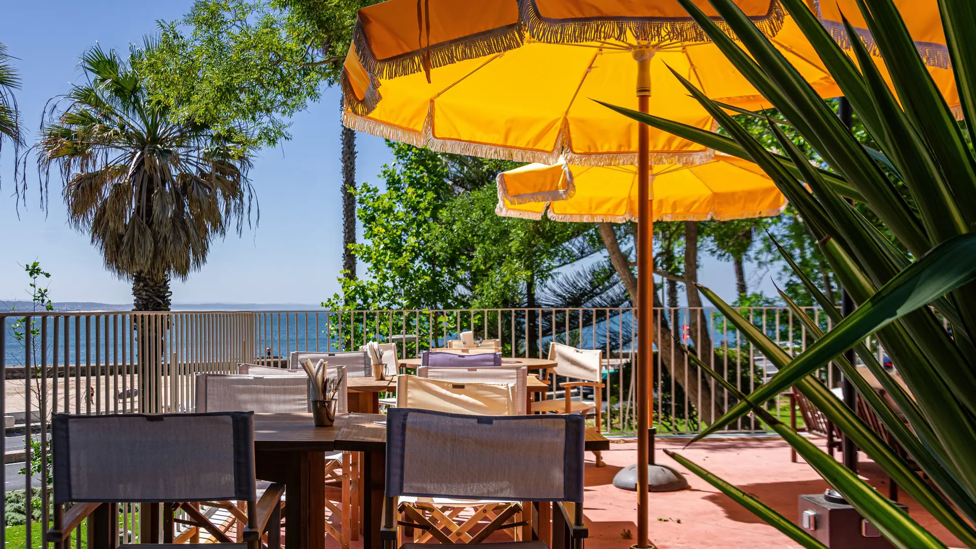 Entre o jardim e o mar, neste restaurante em Paço de Arcos a cozinha está sempre aberta