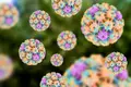 Europa esforça-se para eliminar VPH. Será possível?
