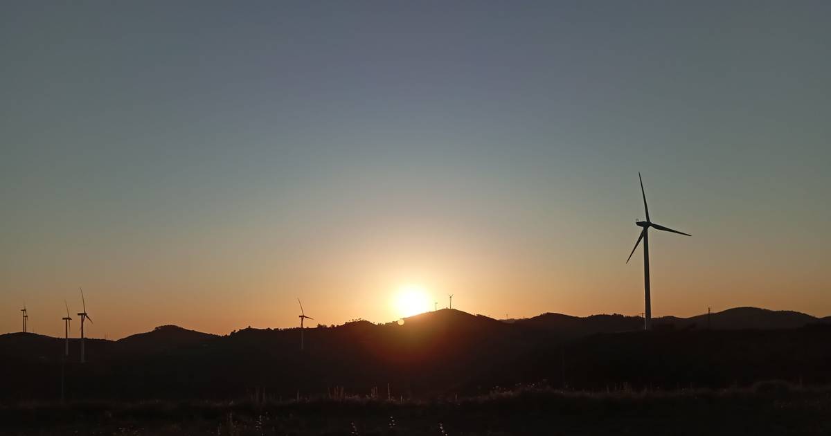 Energia eólica alcança recorde em Portugal, mas até onde pode crescer?