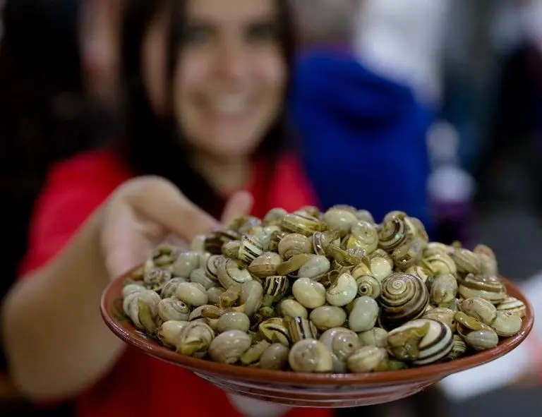 Sem pressas, há pizza, chili e hambúrguer de caracol para provar em