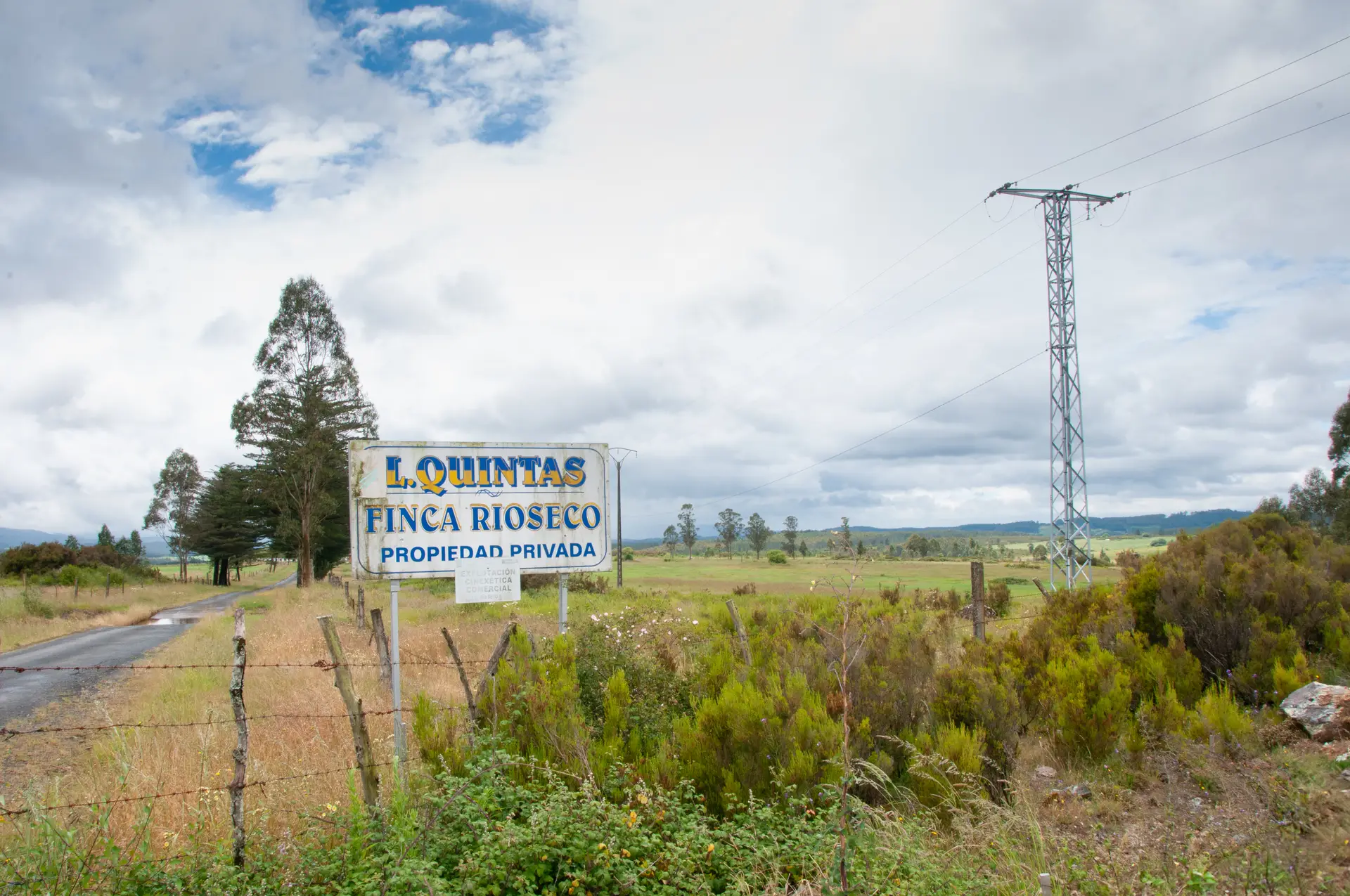 A área onde a Altri projeta instalar a sua primeira fábrica de celulose no estrangeiro, no concelho de Palas de Rei, no interior da Galiza