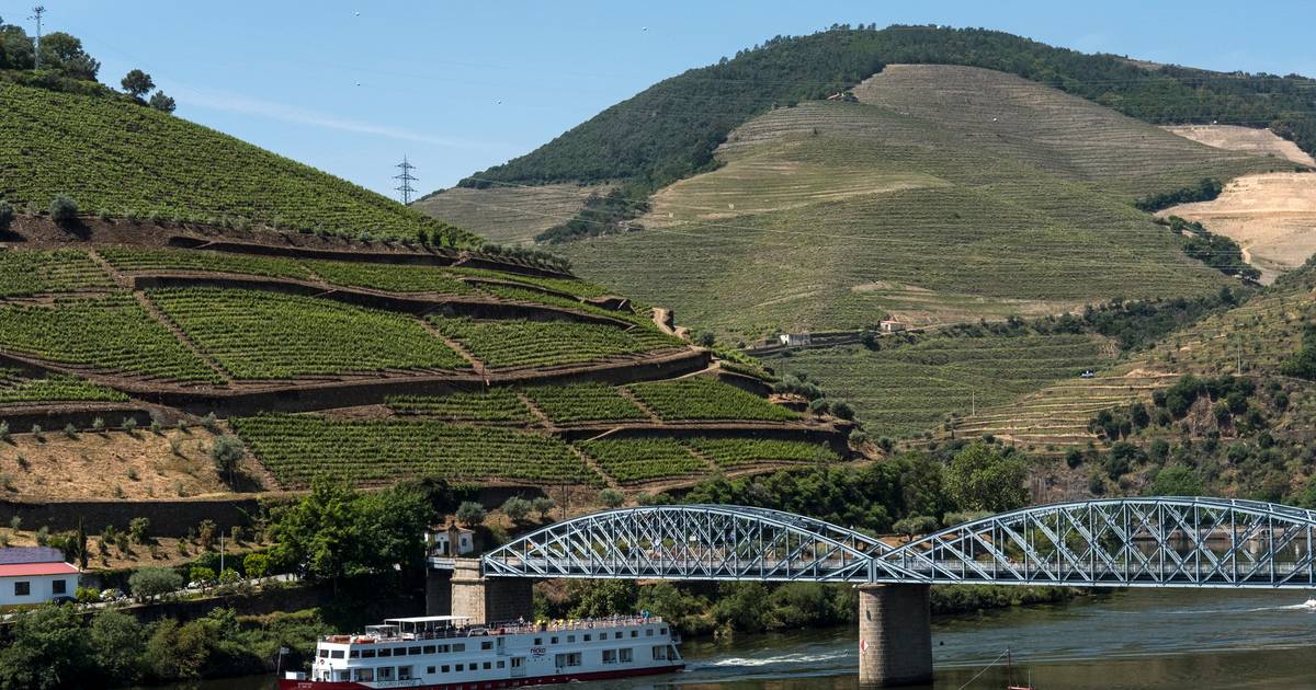 Serpentear os socalcos do Douro ao longo da cénica Estrada Nacional 222