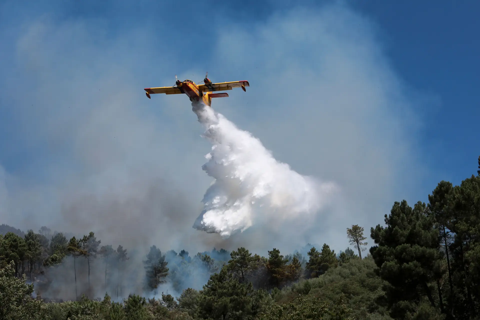 Incêndios: fogo em Alcabideche combatido por 120 bombeiros e três meios aéreos