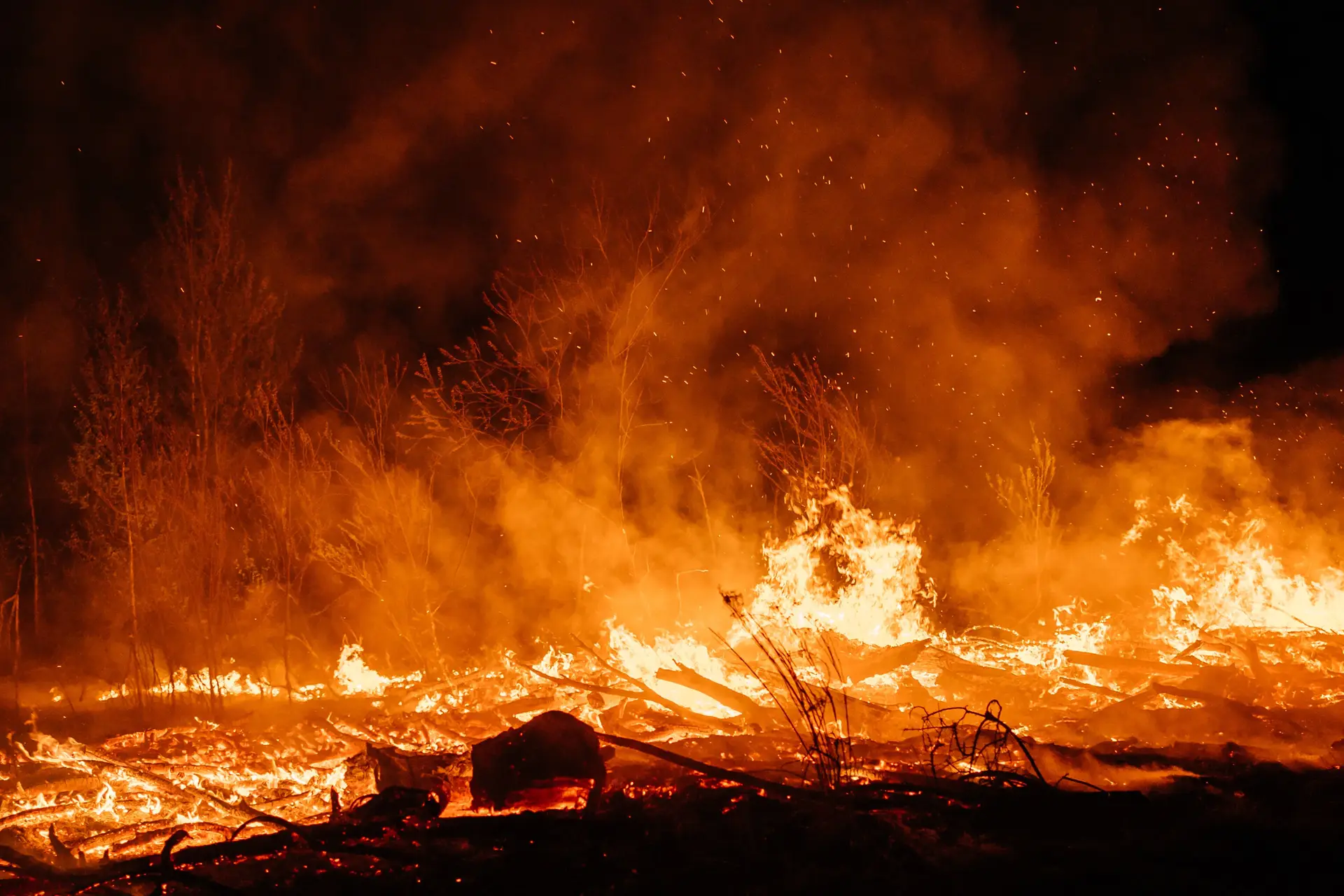 Rússia declara estado de emergência devido a incêndios na região siberiana