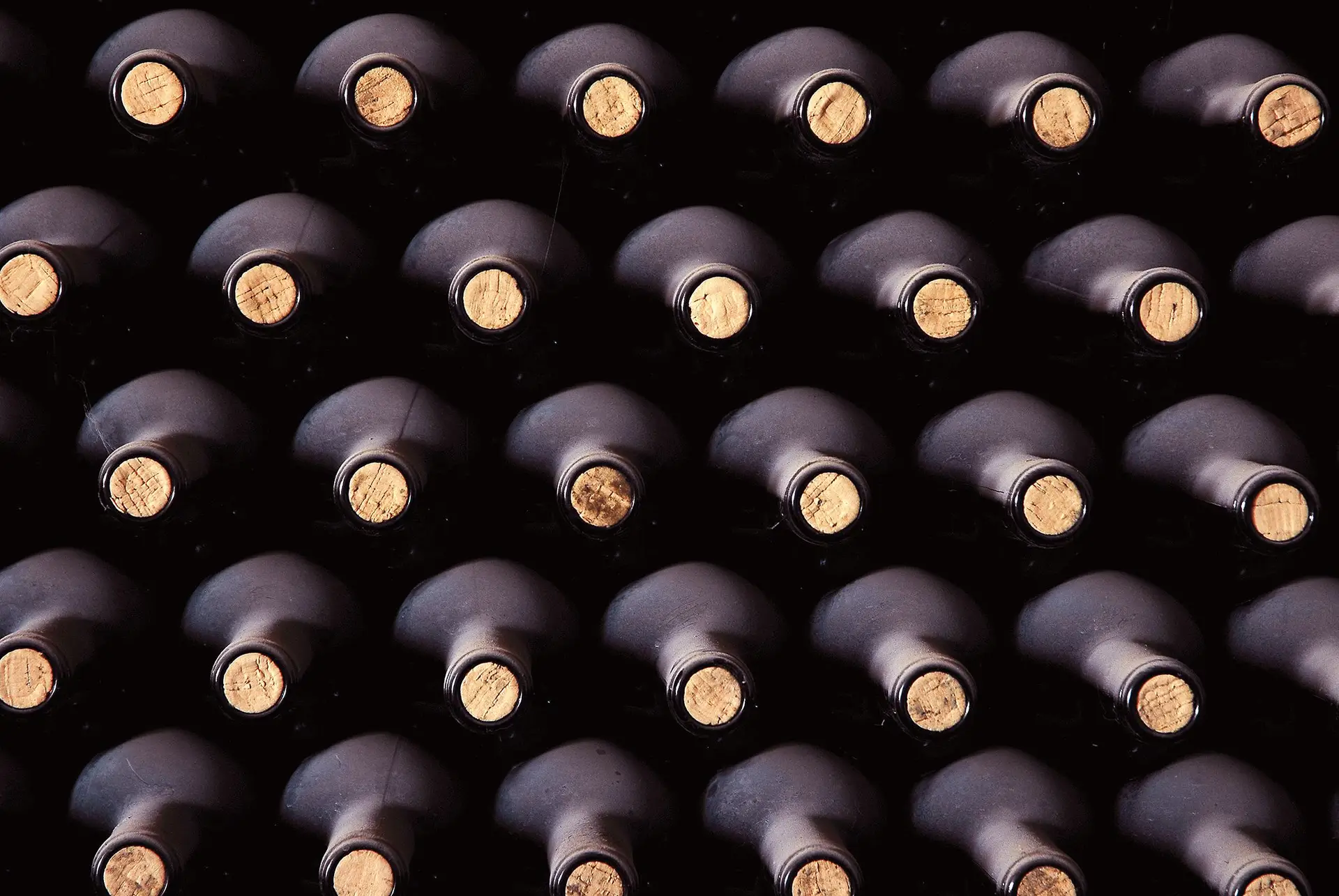 Vinhos: uma questão de peneira