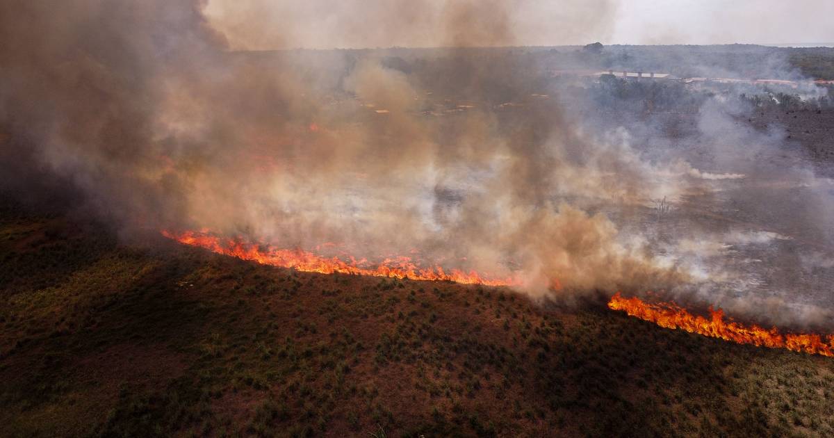 Incêndios na Amazónia brasileira registam um máximo semestral de 20 anos