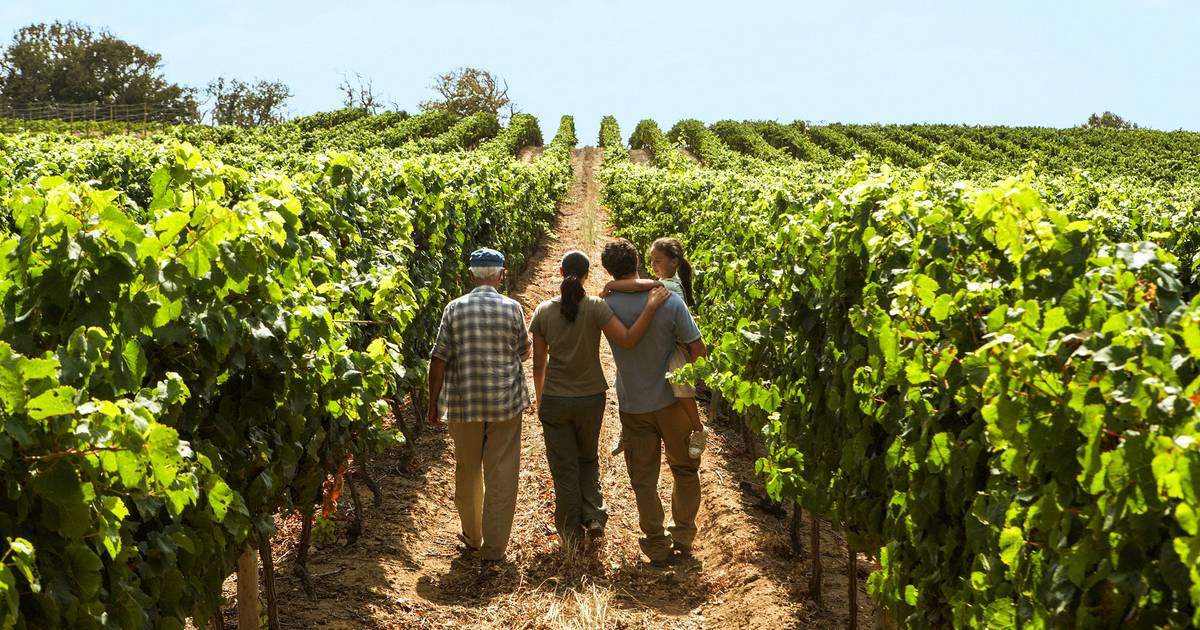 Vinhos. Tudo em família? Nem sempre