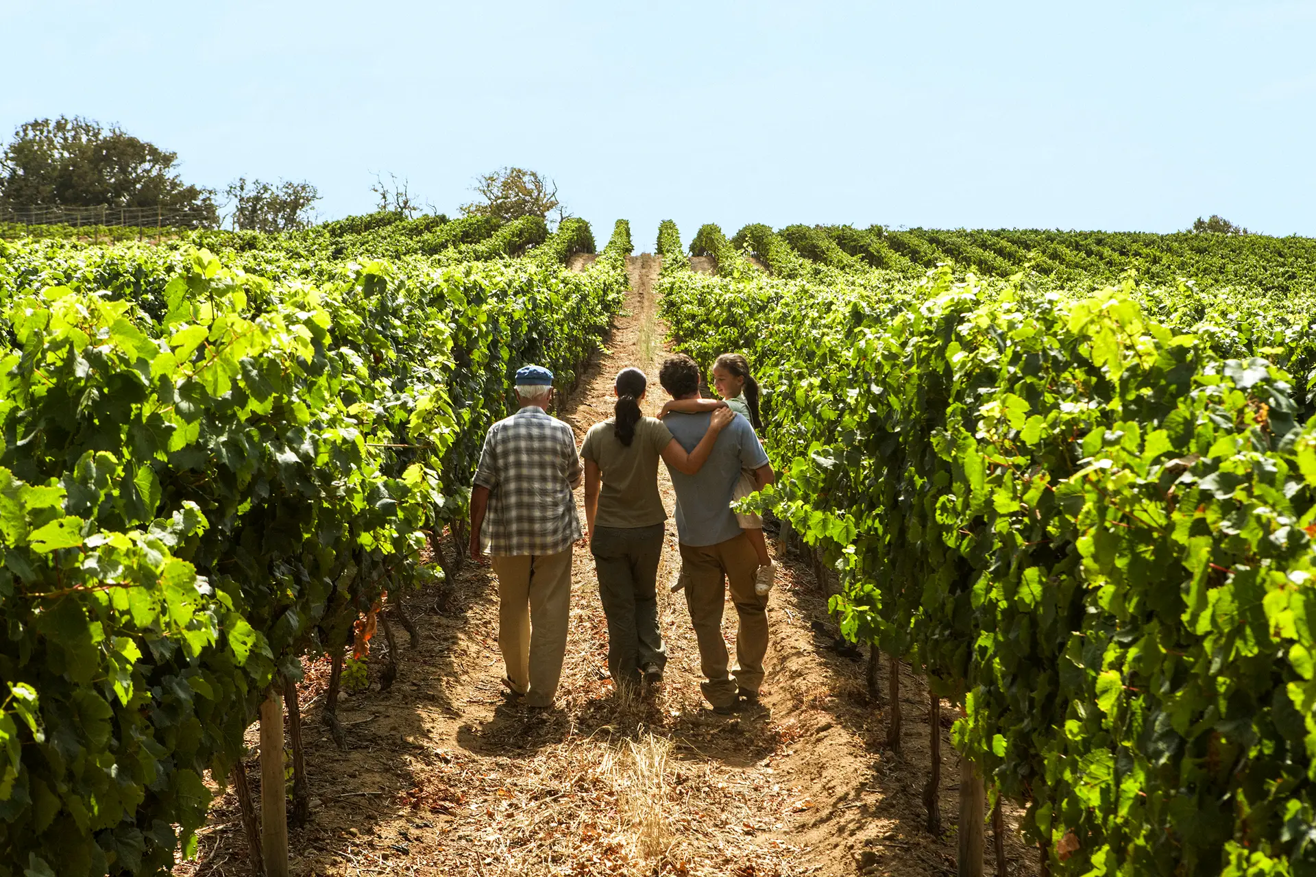 Vinhos. Tudo em família? Nem sempre