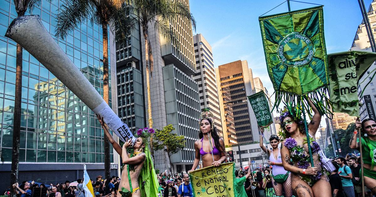 Legalizar a marijuana: sim ou não? Ecos de uma guerra política no Brasil