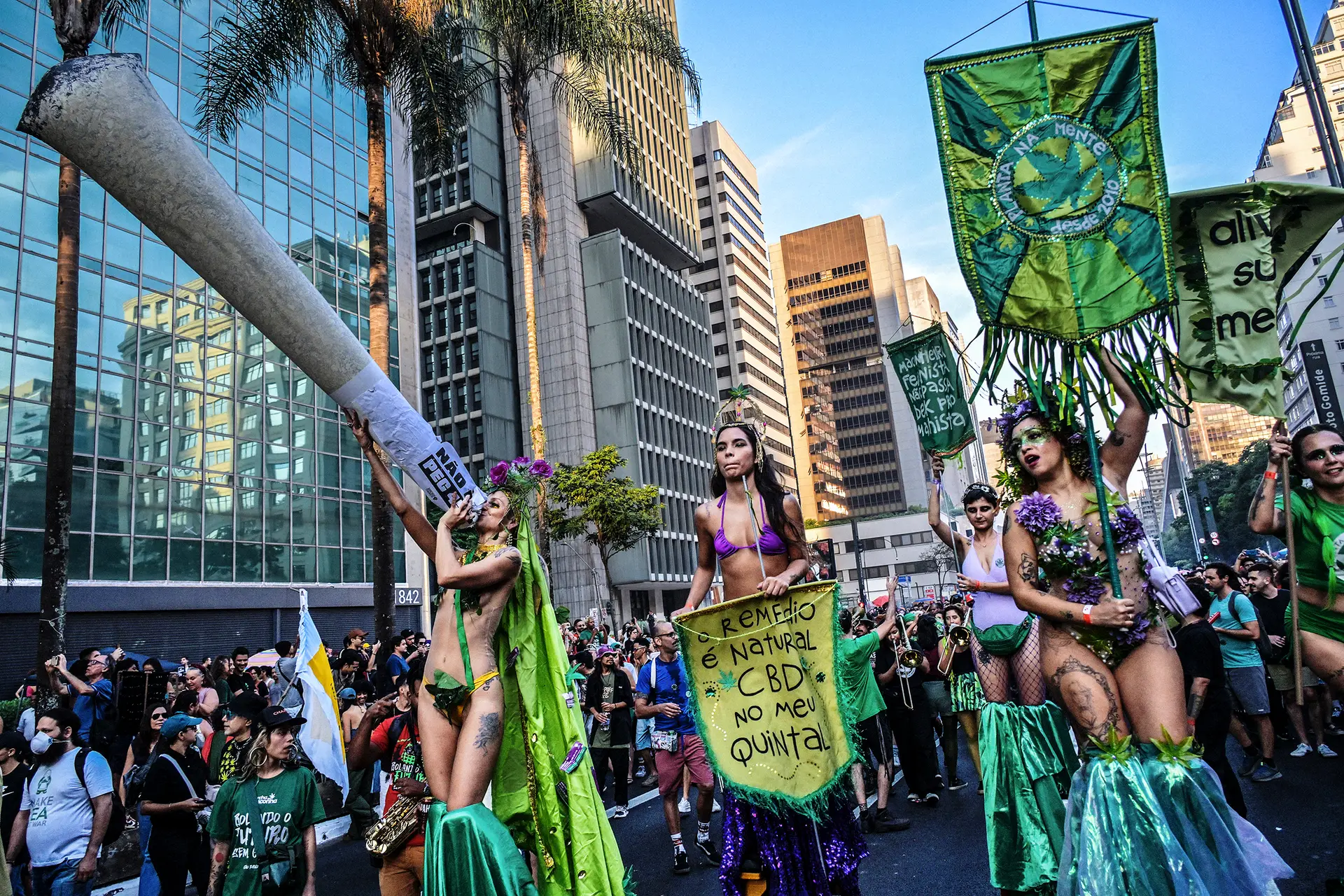 A Avenida Paulista, em São Paulo, pintou-se de verde há cerca de quatro semanas, numa manifestação a favor da legalização da marijuana