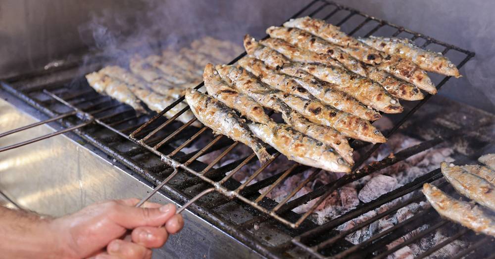 Em Setúbal, entre a serra e o mar, verão é sinónimo de boa sardinha na mesa