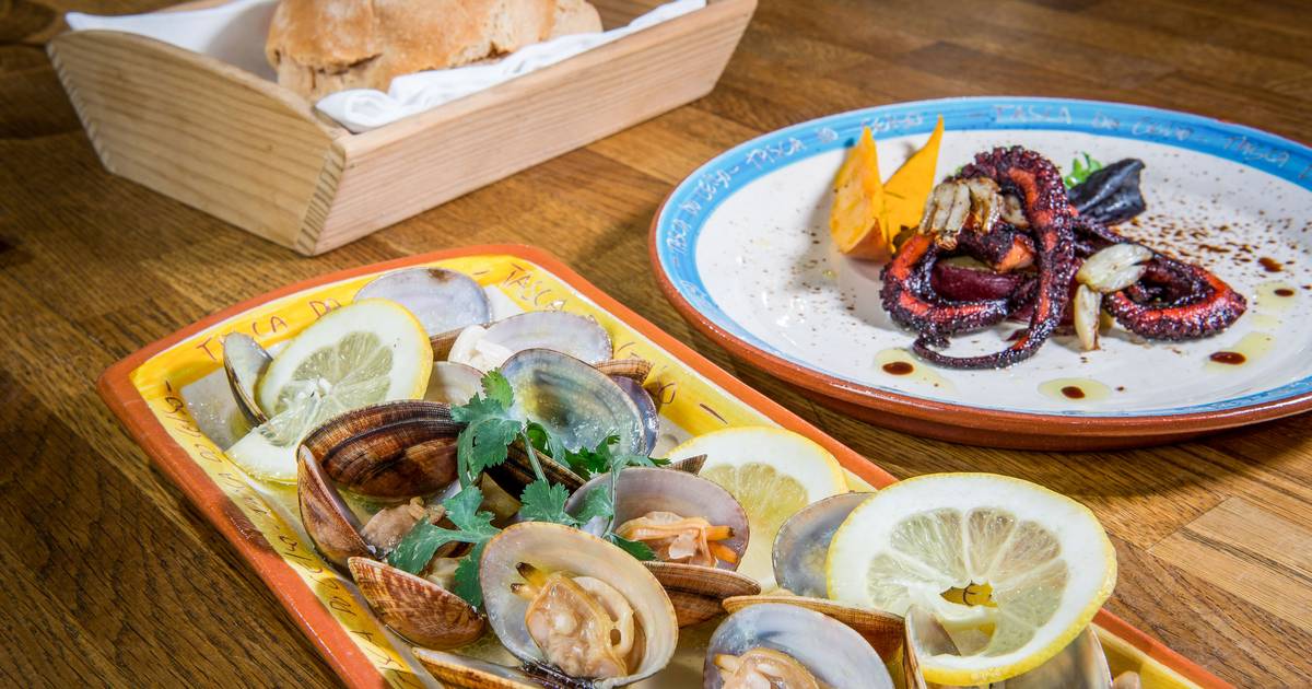 Entre clássicos e novidades, estes restaurantes da costa alentejana dão a provar os melhores sabores do mar e do campo