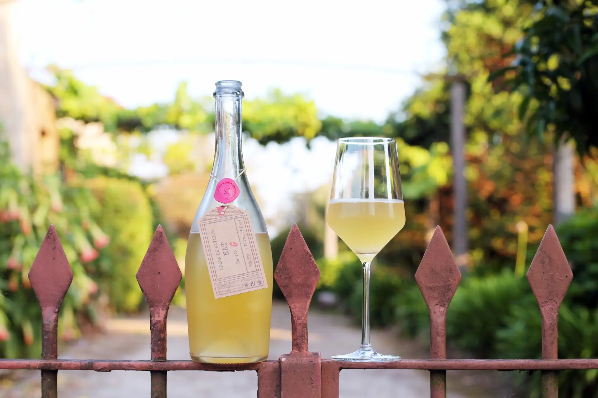 Pet Nat Adega de Favaios Moscatel Galego ou Viosinho €8