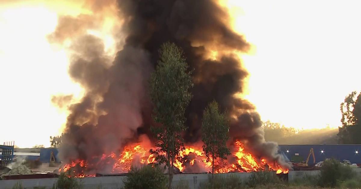 Incêndio em empresa na Trofa obrigou a hospitalizar dois bombeiros por precaução
