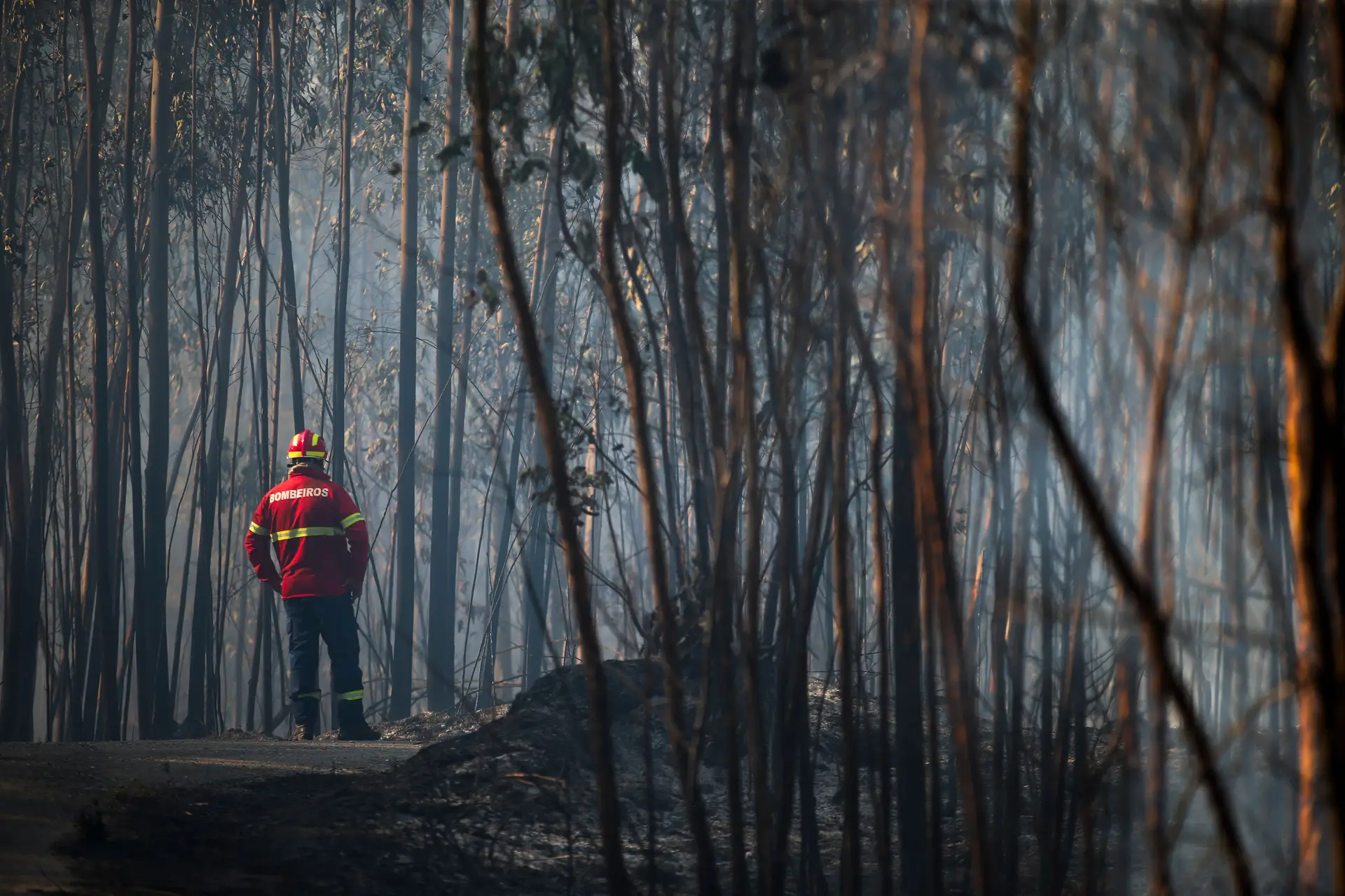 Perigo máximo de incêndio em cerca de 50 concelhos do continente