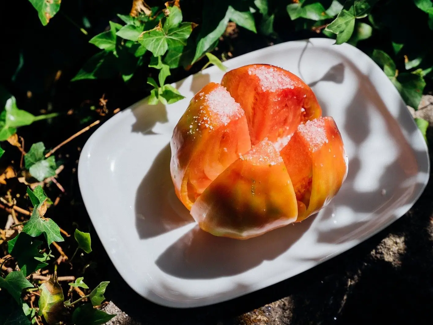 Quem tem os melhores? Tomate coração de boi a concurso e à prova em 22 restaurantes do Douro