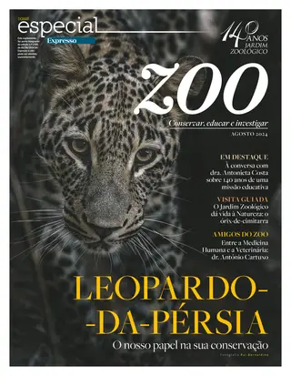Dossiê Especial