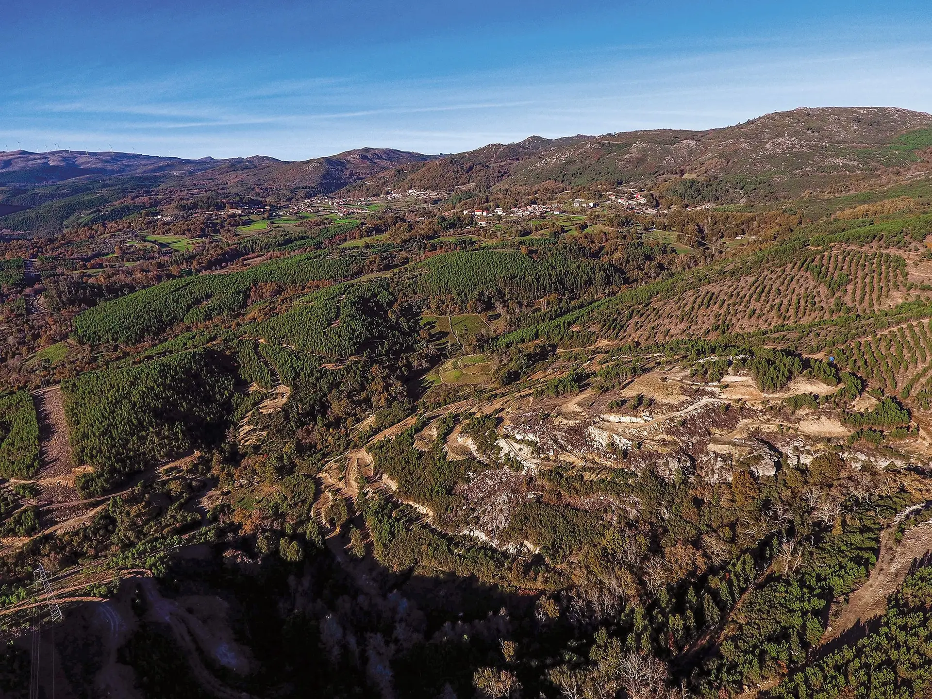 Savannah Resources tem concessão para explorar lítio no concelho de Boticas