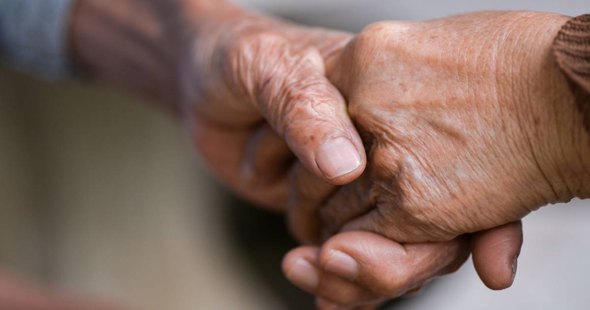 GNR encerra lar ilegal em Oliveira do Bairro