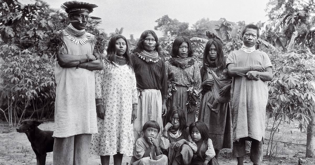 Um botânico norte-americano na Amazónia