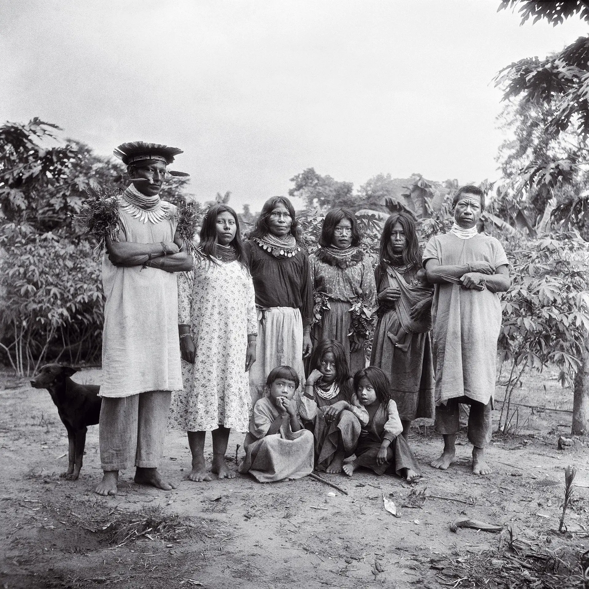 Um botânico norte-americano na Amazónia