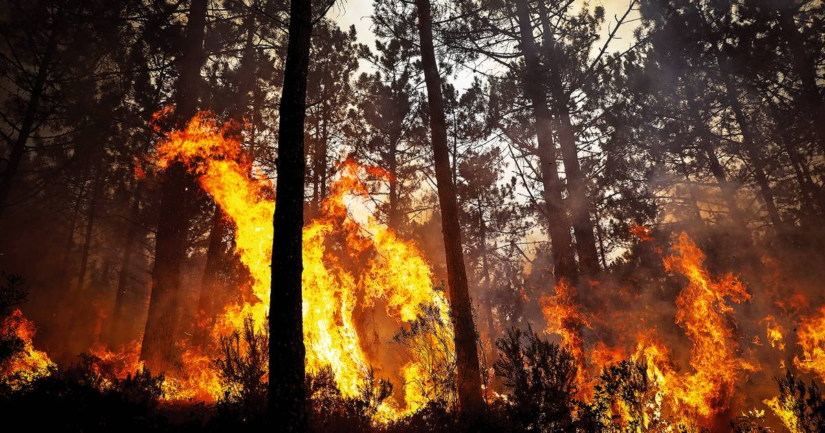 Nunca houve tantos incendiários nas prisões