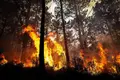 Nunca houve tantos incendiários nas prisões