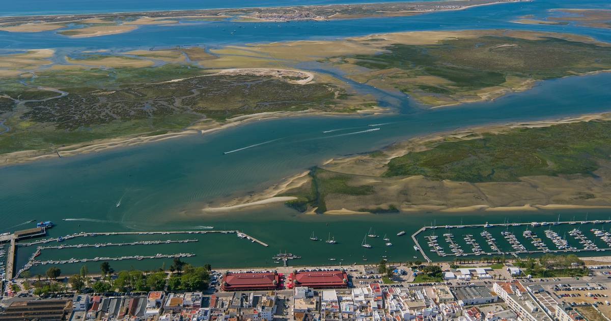 A ria, as ilhas e o barrocal: descobrir Olhão, antes ou depois de uma mesa recheada de marisco