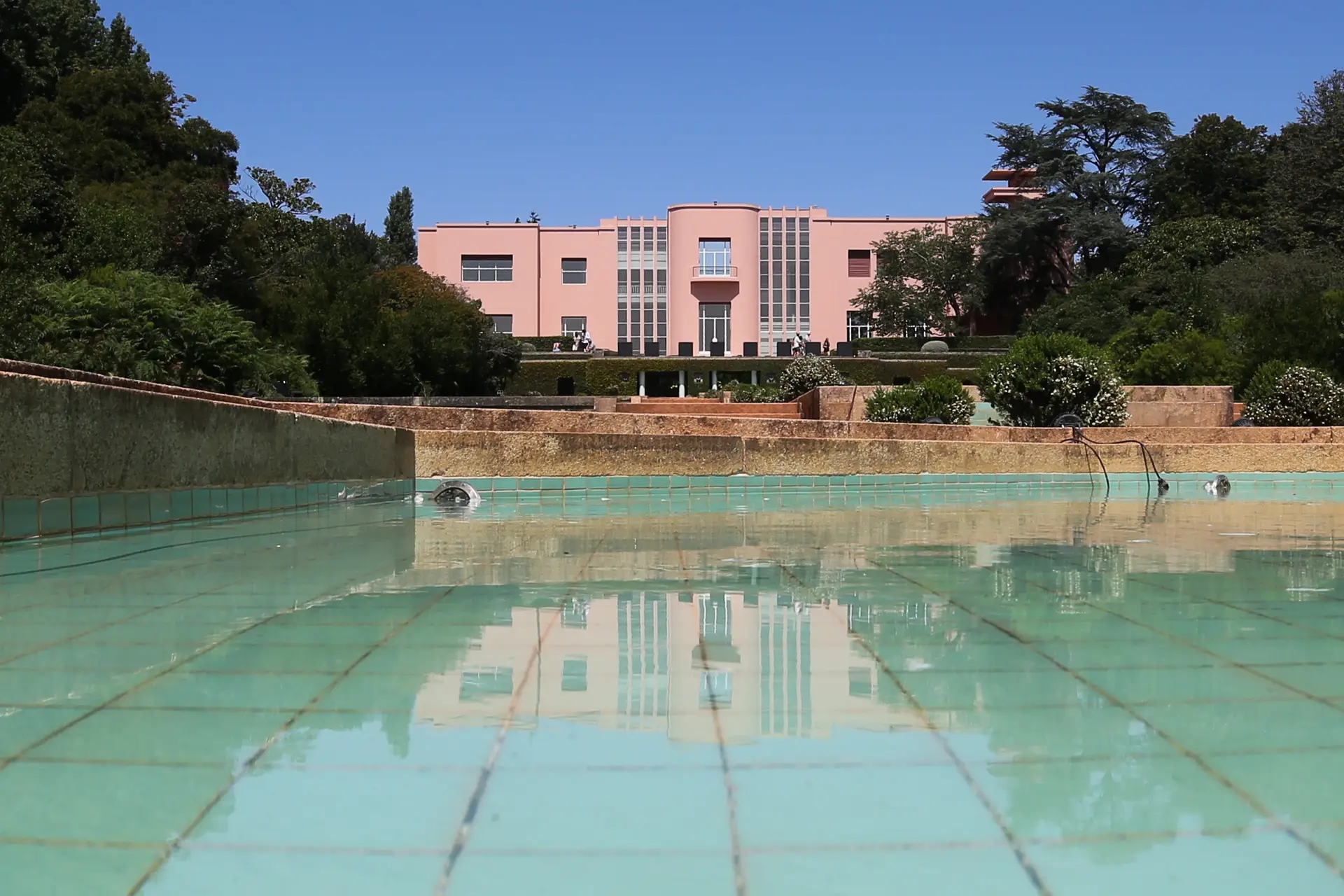 Fernando Cunha Guedes eleito presidente interino da Fundação de Serralves