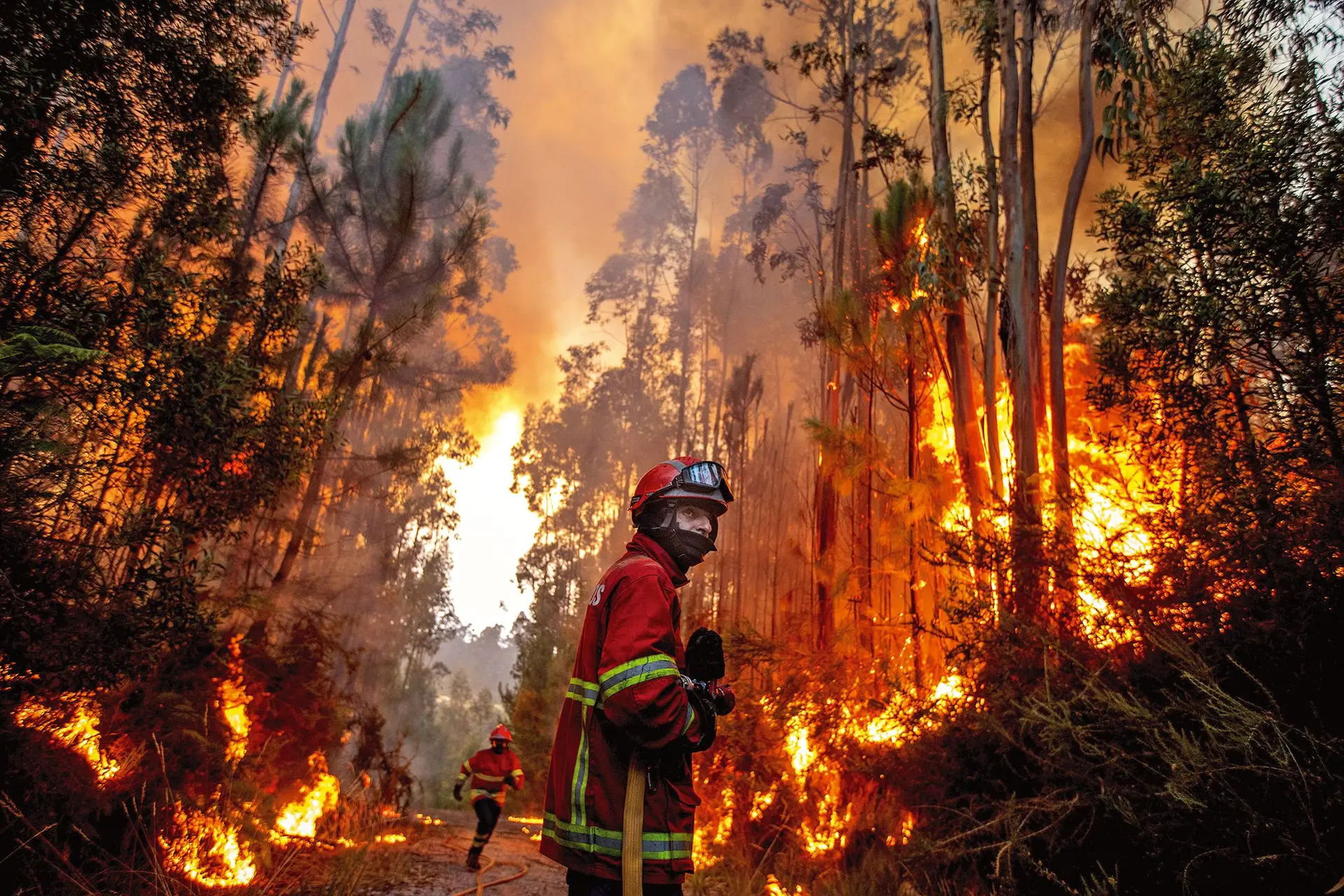 Há fogos ateados por motivos fúteis após desavenças nas redes sociais