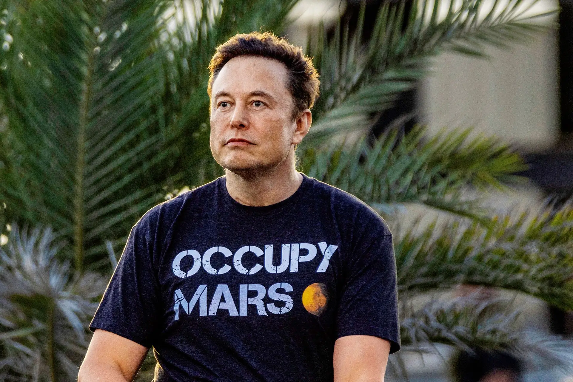 Elon Musk, proprietário da rede social X