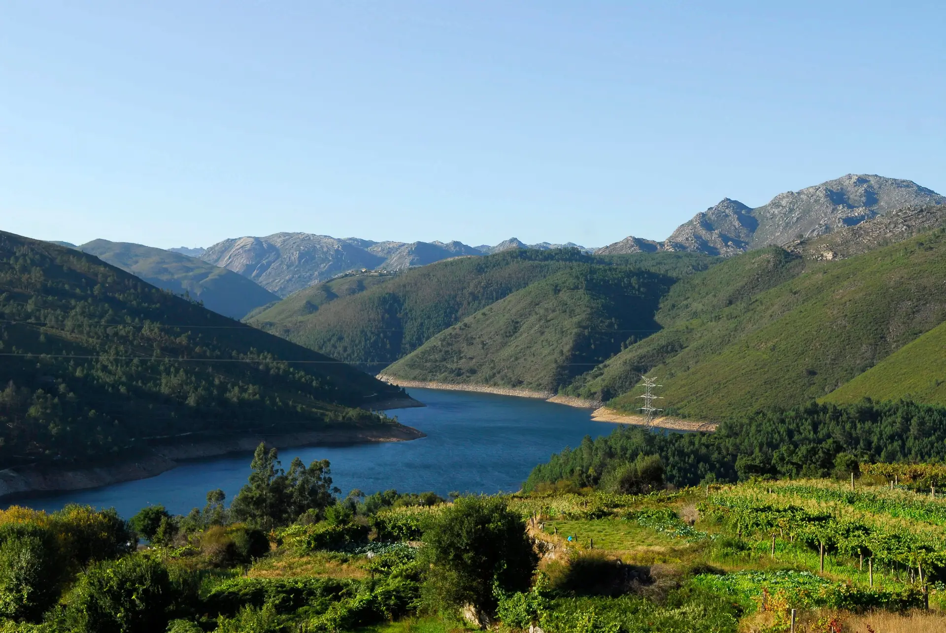 Os baldios da serra do Gerês vão ganhar 100 mil árvores novas até 2027
