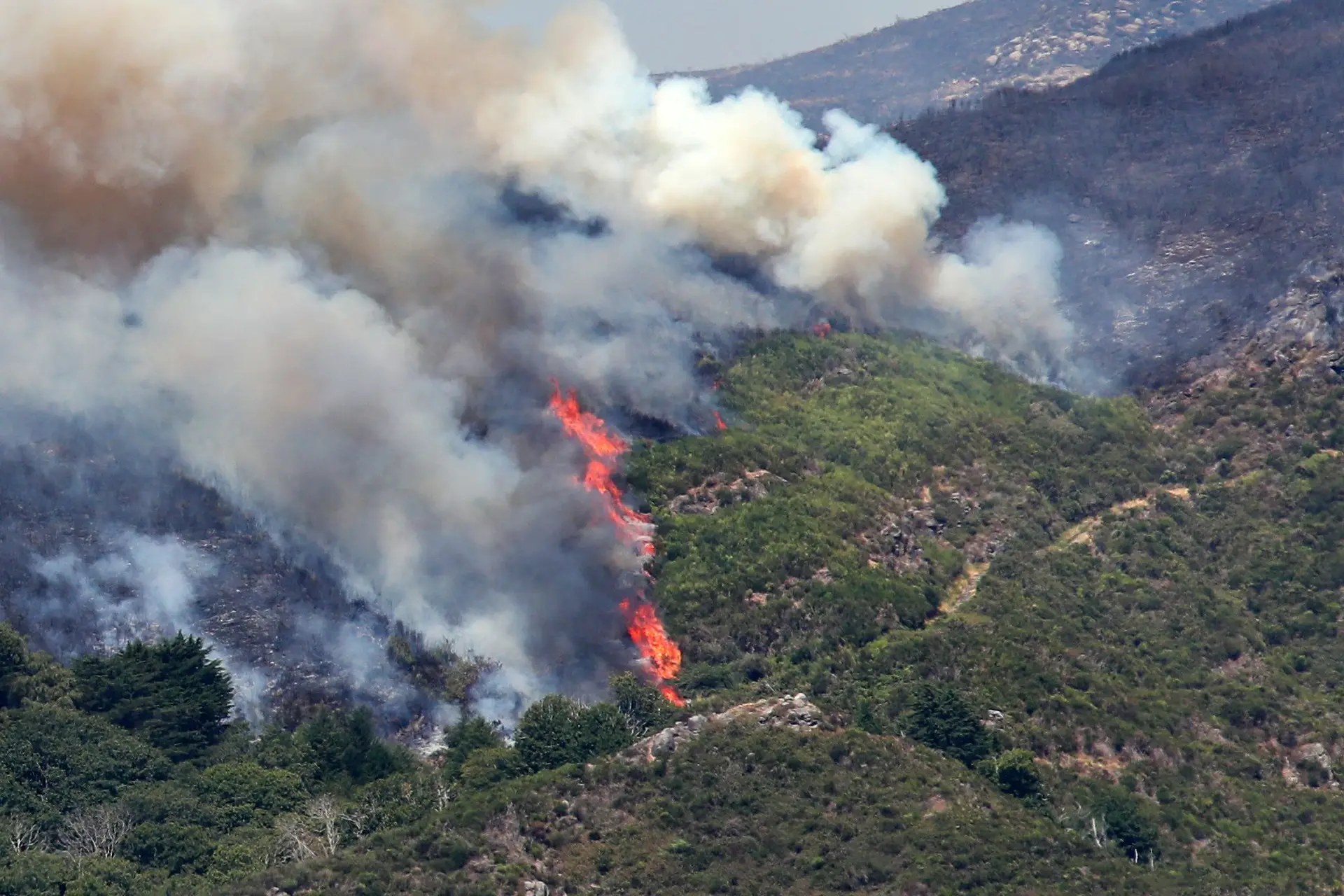 Governo ativa o Mecanismo Europeu de Proteção Civil para reforçar os meios de combate ao incêndio na Madeira