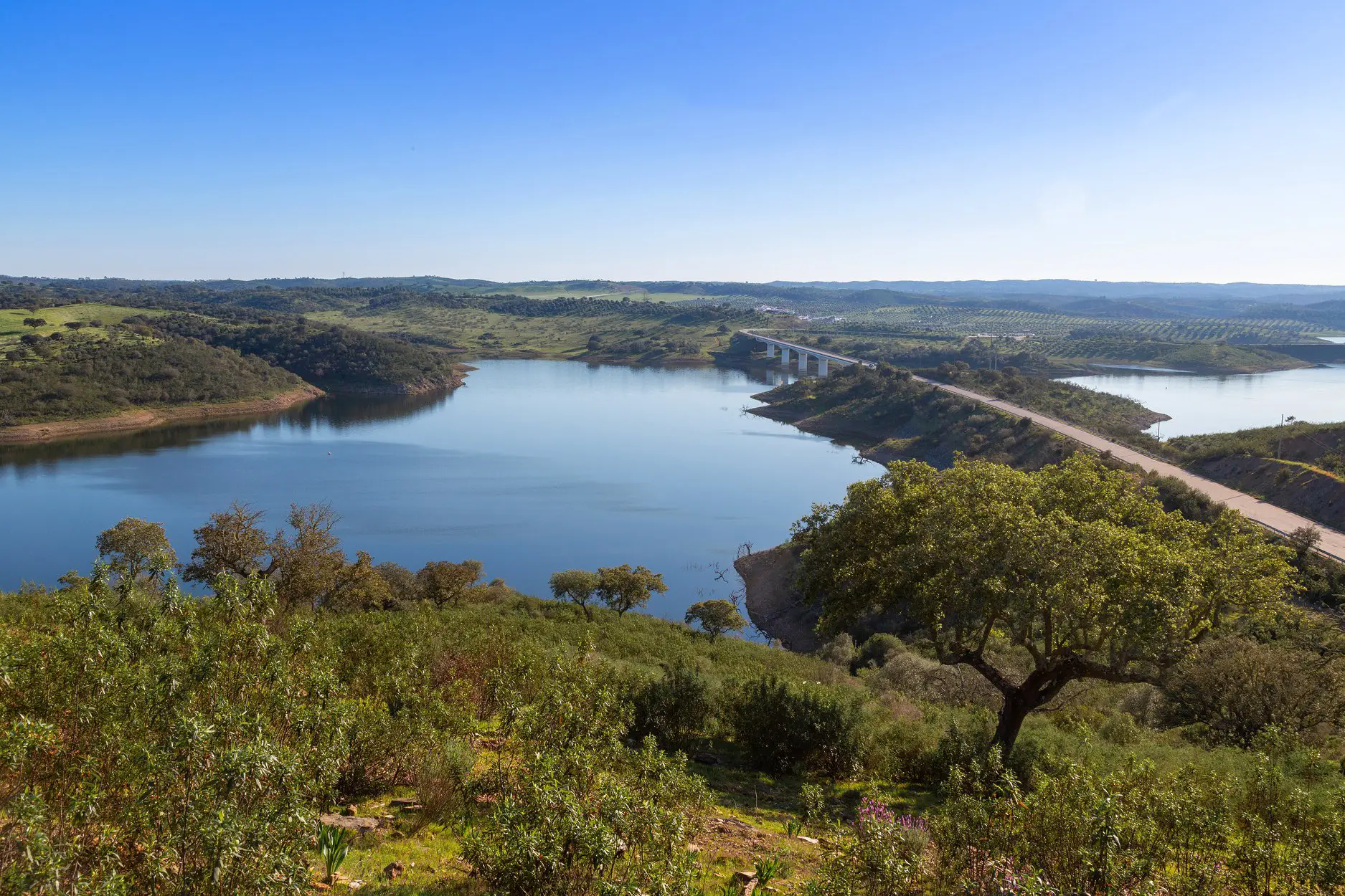 Estrada Nacional 255: Atravessar o montado alentejano rumo ao Alqueva