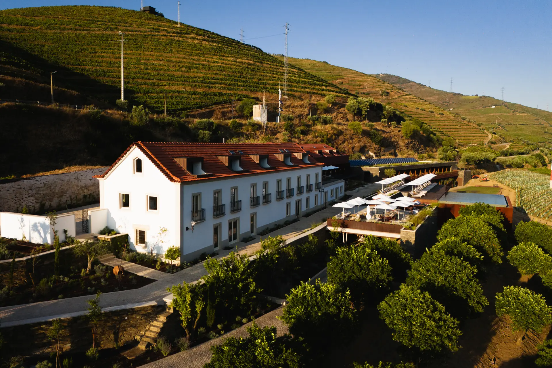 Torel Quinta da Vacaria