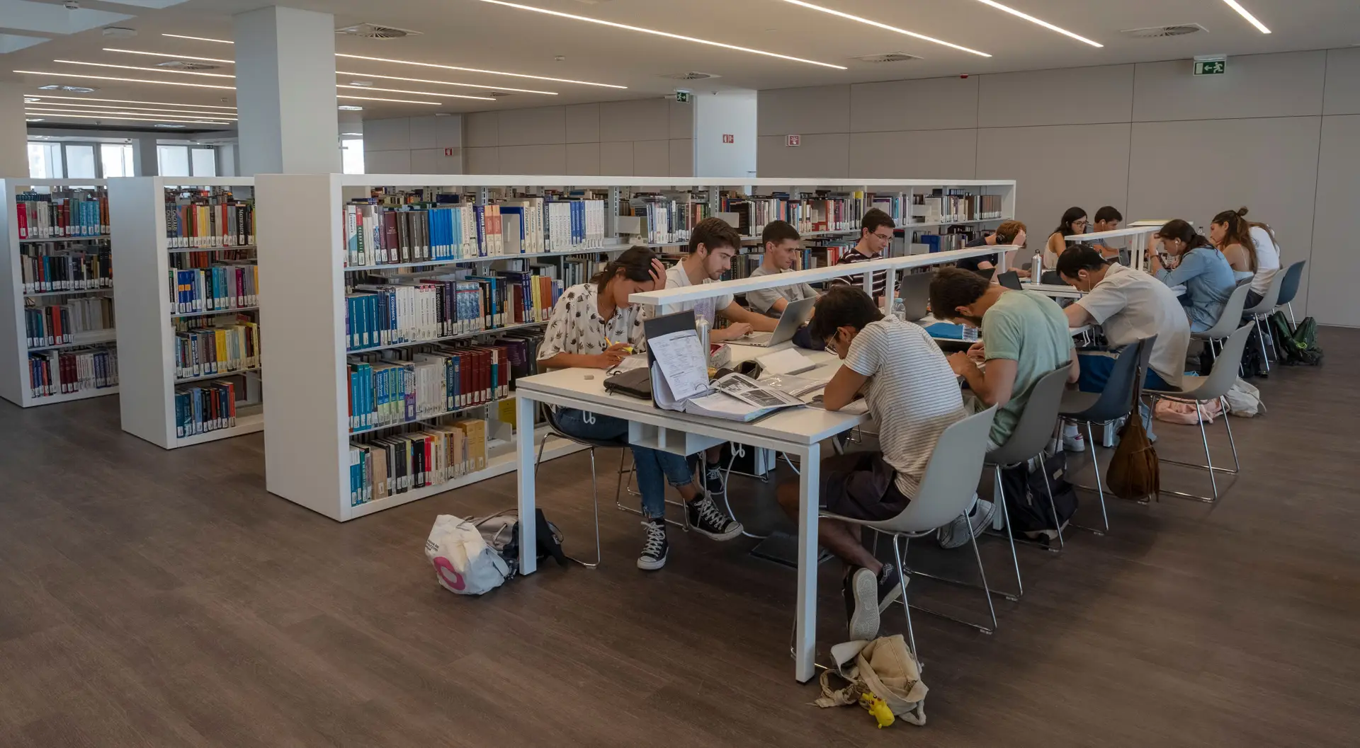 Ebooks e audiobooks com acesso gratuito em nova plataforma das bibliotecas públicas: BiblioLED arranca esta segunda-feira