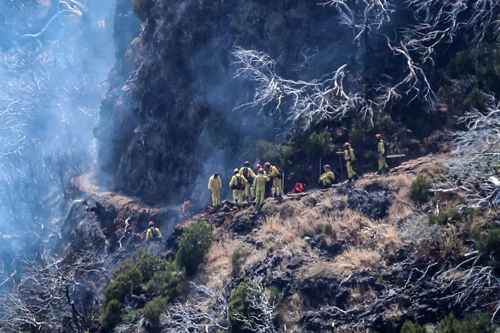 Depois do fogo é preciso estabilizar solos, precaver a chegada da chuva e de possíveis derrocadas na Madeira