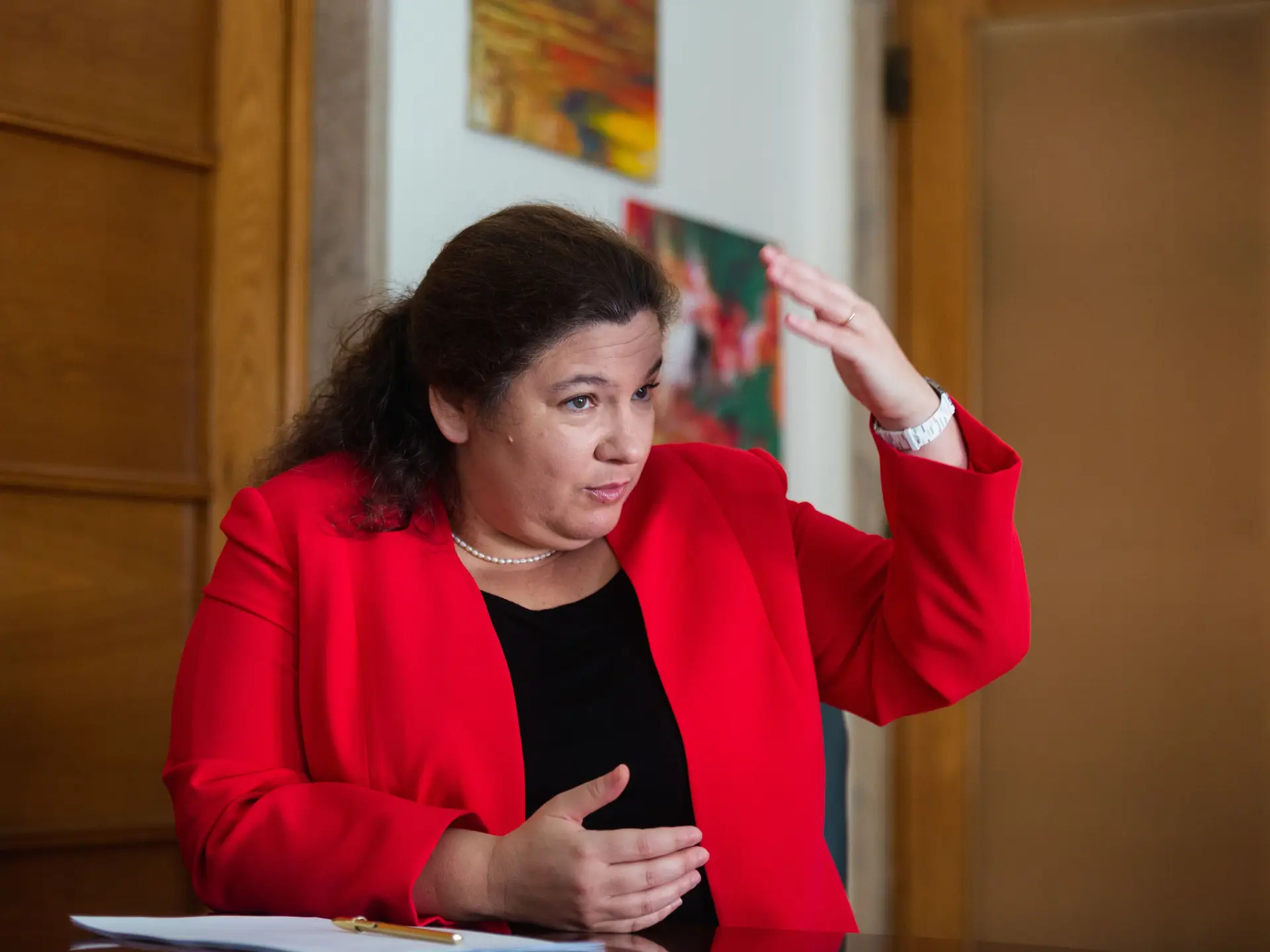 Interrupção voluntária de gravidez até às 12 ou 14 semanas: PS regressa à agenda fraturante
