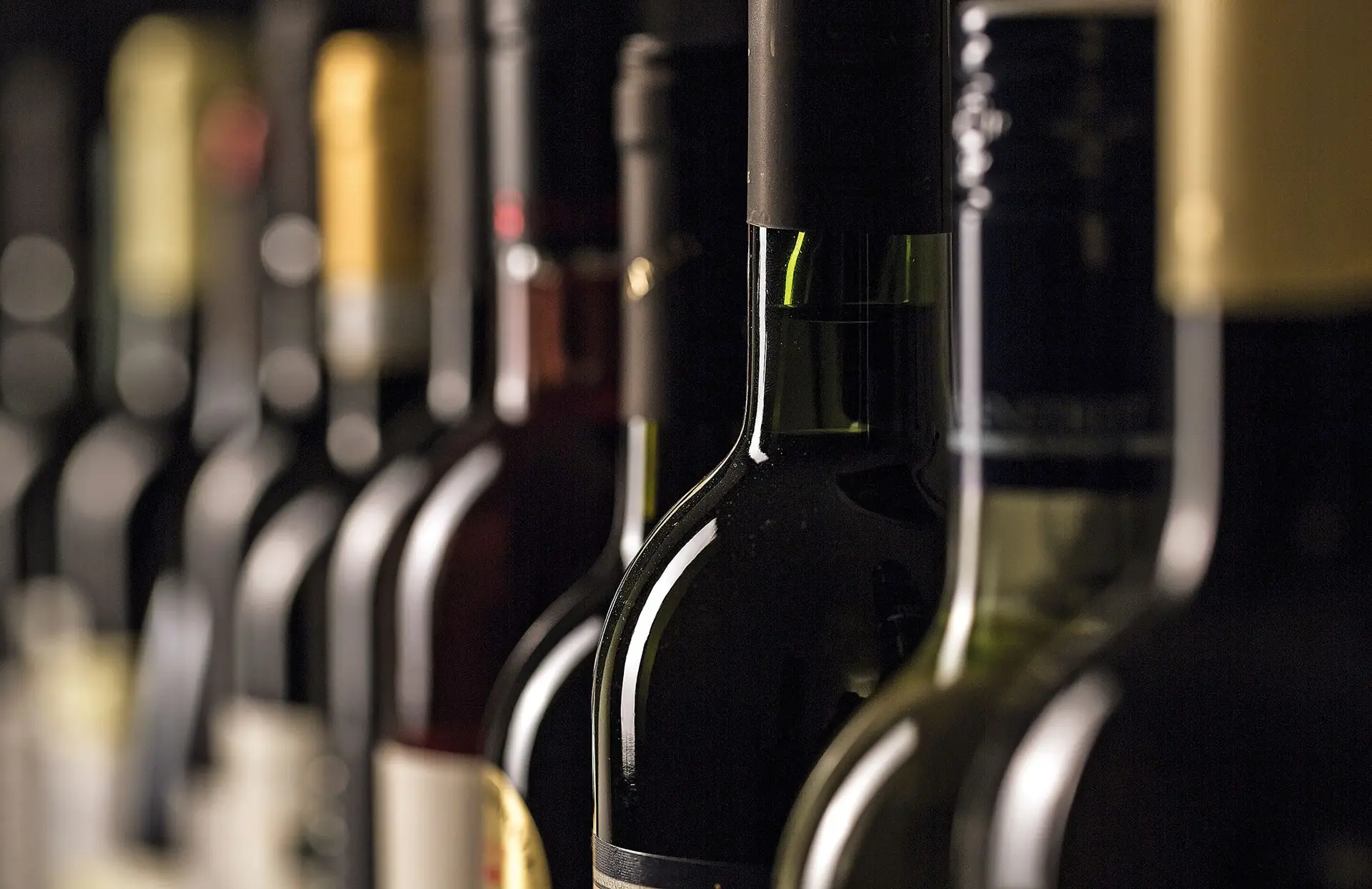 Vinhos. Celebrar, remando contra a maré